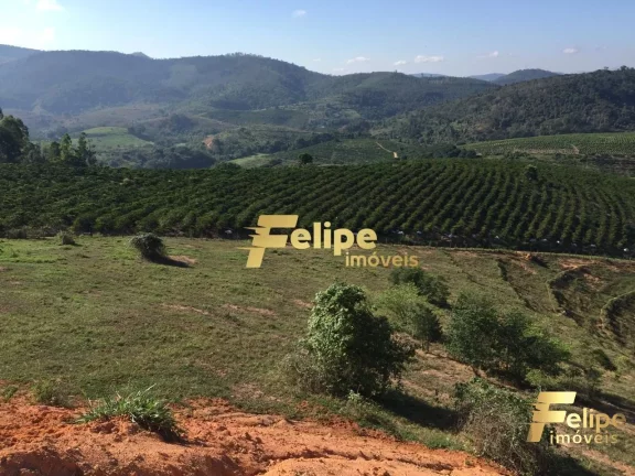 Imagem FAZENDA EM COLATINA (28KM DO CENTRO) / UM IMPERDÍVEL NEGÓCIO!