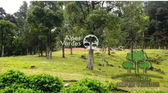 Imagem Oportunidade para Investidores Terreno à venda em Canela/RS