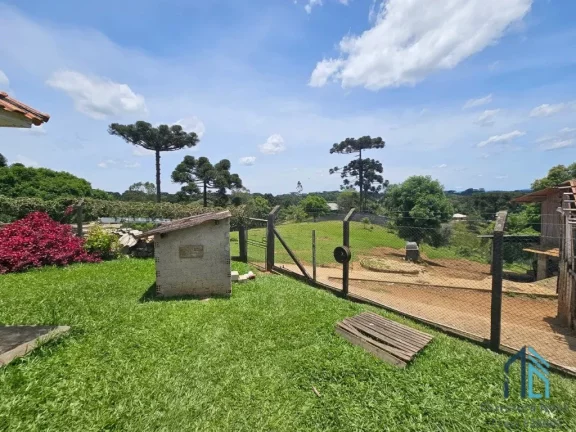 Imagem Chácara 04 casas, um comércio, tanque de peixes, ótimo investimento em QUATRO BARRAS PR