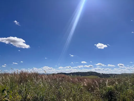 Imagem Terreno à venda, 1236 m² por R$ 40.000,00 - Área Rural de Patos de Minas - Patos de Minas/MG