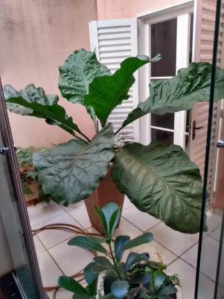 Imagem Casa com 3 Quartos à Venda, 112 m² em Morumbi - Ituverava