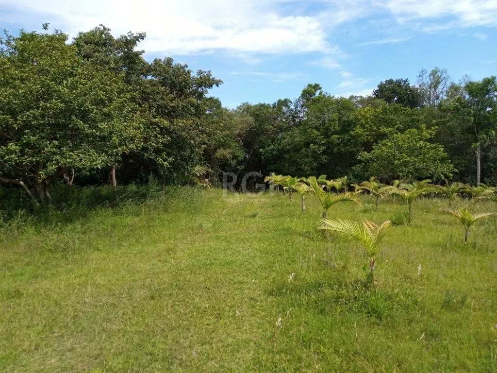 Imagem Boletto Imóveis vende Sitio na RS, Com 7 casas, 2 comerciais, excelente local para vários seguimento fácil acesso , rota para gramado, R$3.900,000,00