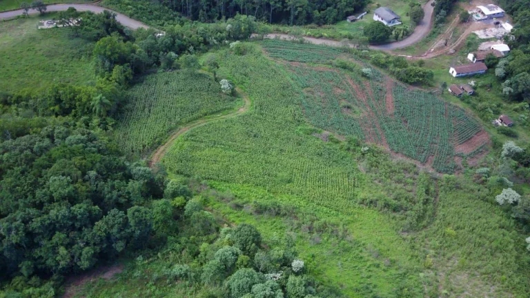 Imagem Terreno para Venda em Concórdia, Primavera