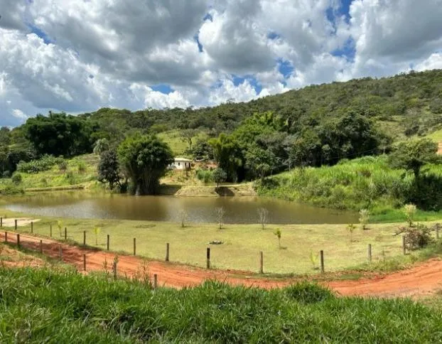 Imagem Oportunidade de Fazenda em Cláudio/MG 84 Hectares de terra