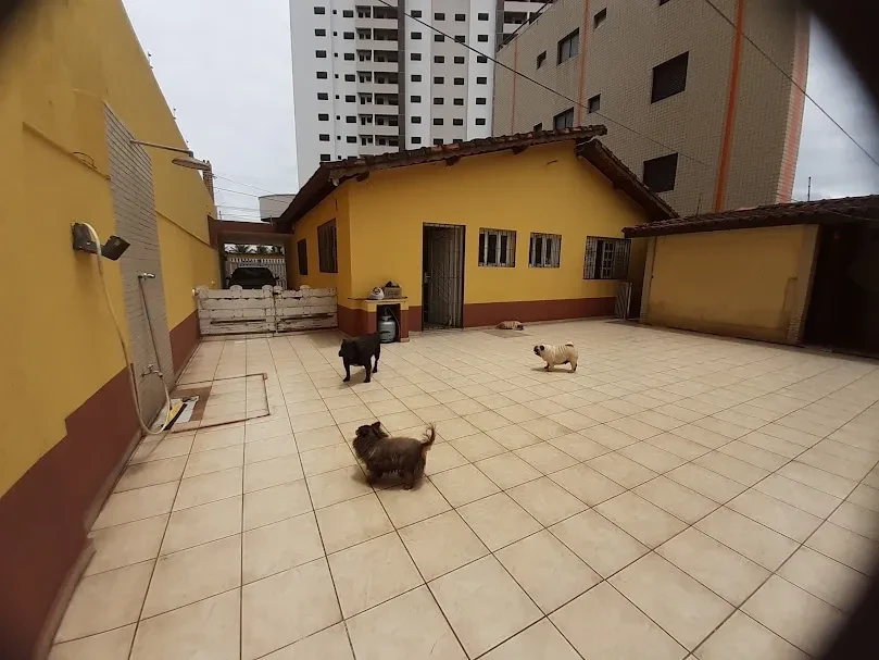 Imagem Casa com 3 Quartos à Venda, 185 m² em Jardim Praia Grande - Mongaguá