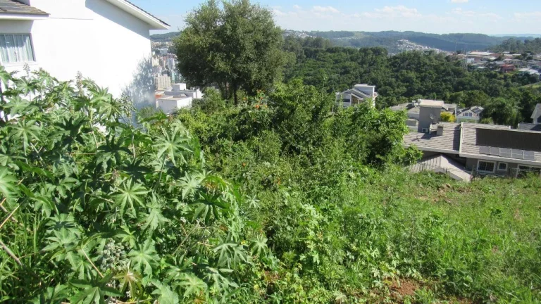 Imagem Terreno para Venda em Concórdia, Jardim