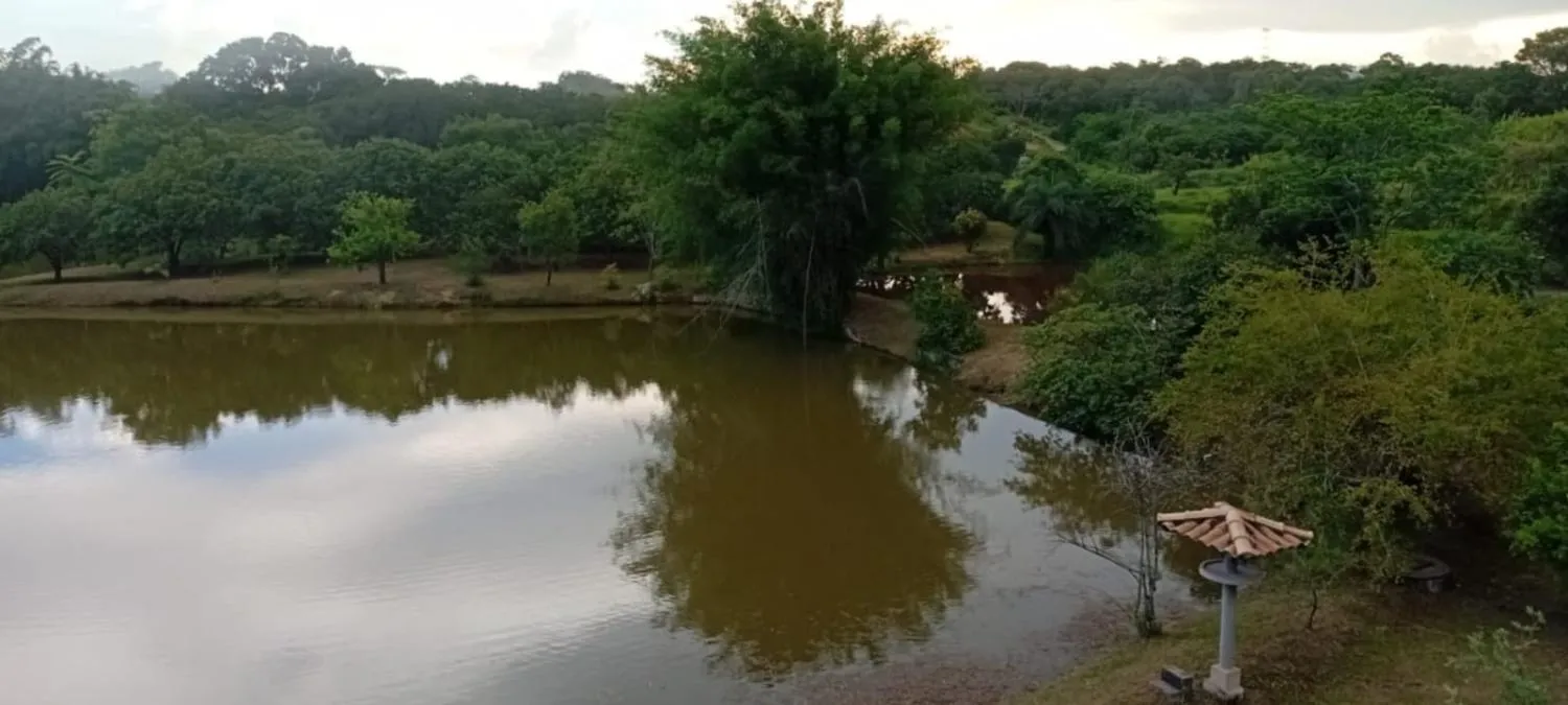 Imagem Excelente sítio à venda em Betim/MG ? Área total de 20.000 m²
