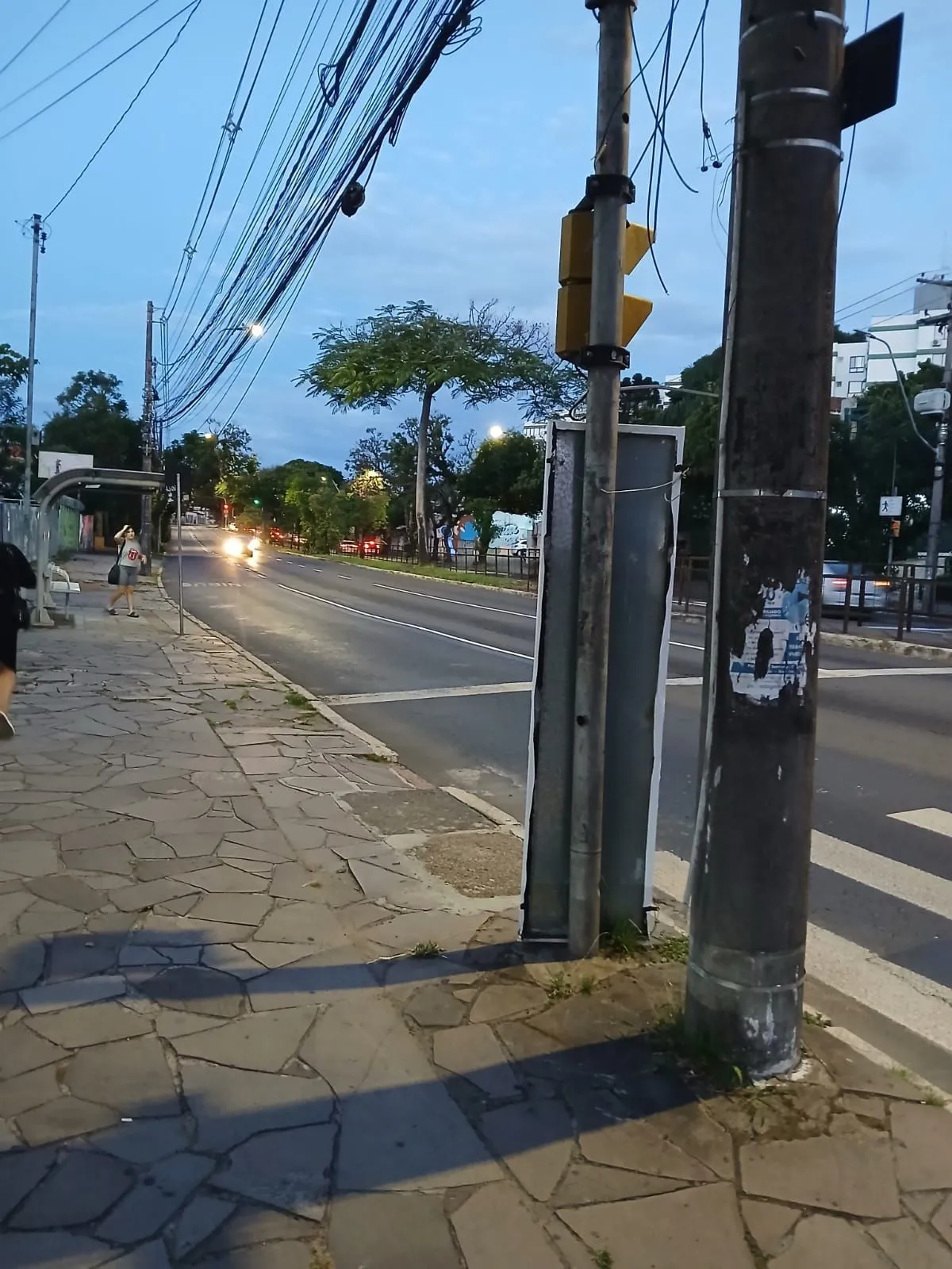 Imagem Loja Térrea em Avenida !