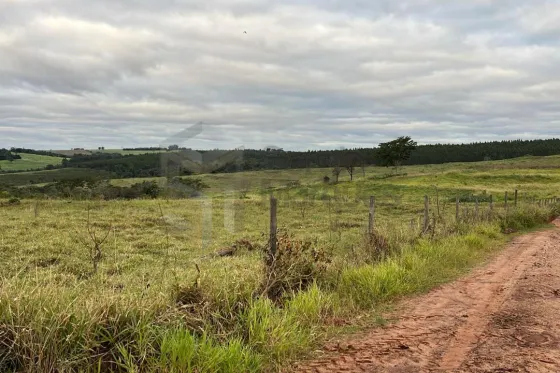 Foto do imóvel Terreno 121m Alto Piquiri-PR 387