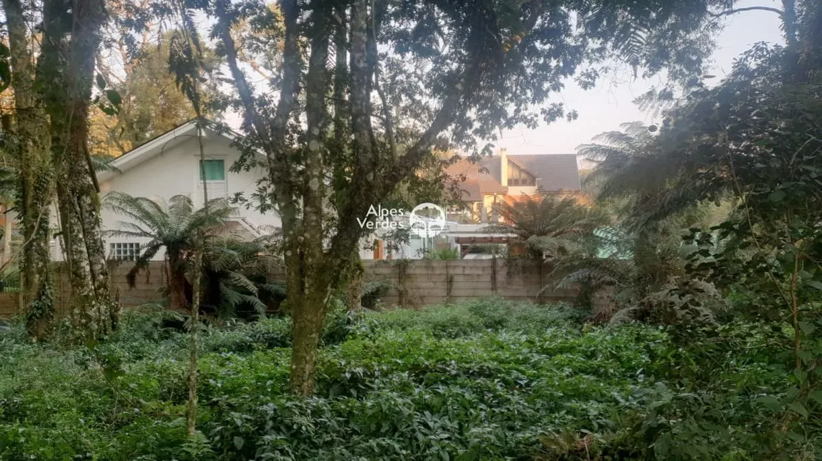 Imagem Vende-se Área com 3.995 m2 a cerca de 2 minutos da Rua Coberta