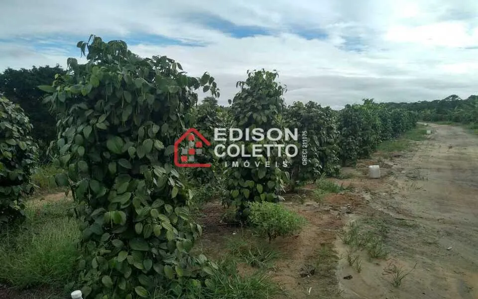 Imagem Fazenda/Sitio, Residencial/Comercial para Venda, Centro, Caraiva