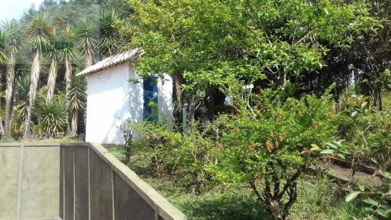 Imagem CHÁCARA CANANÉIA