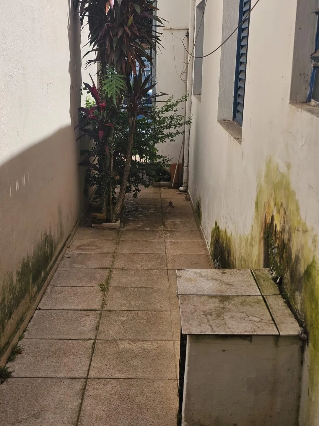 Imagem Casa à venda 3 Quartos, Centro, Aparecida - SP