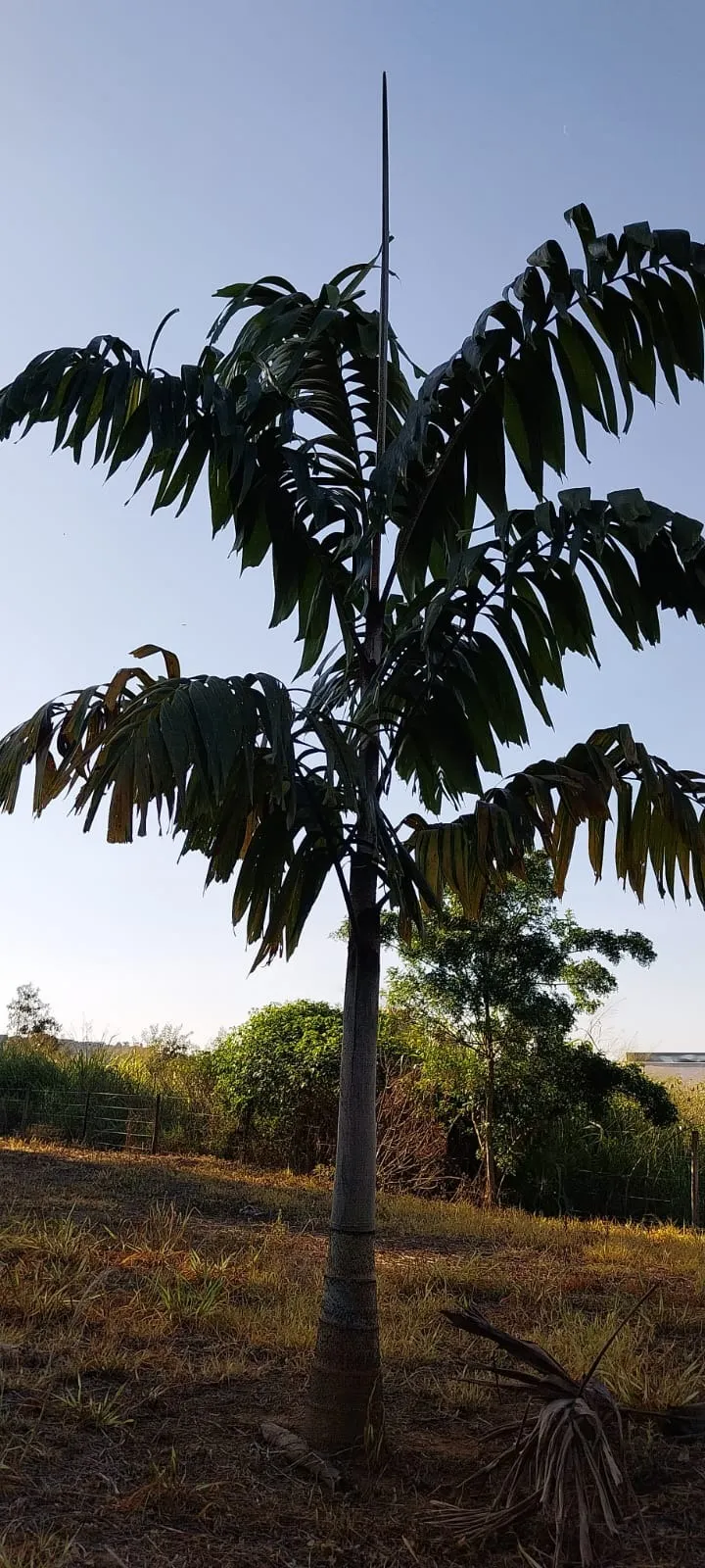 Imagem Terreno à venda em Salto de Pirapora-SP, Bairro da Barra: 1.000m² de oportunidade única!