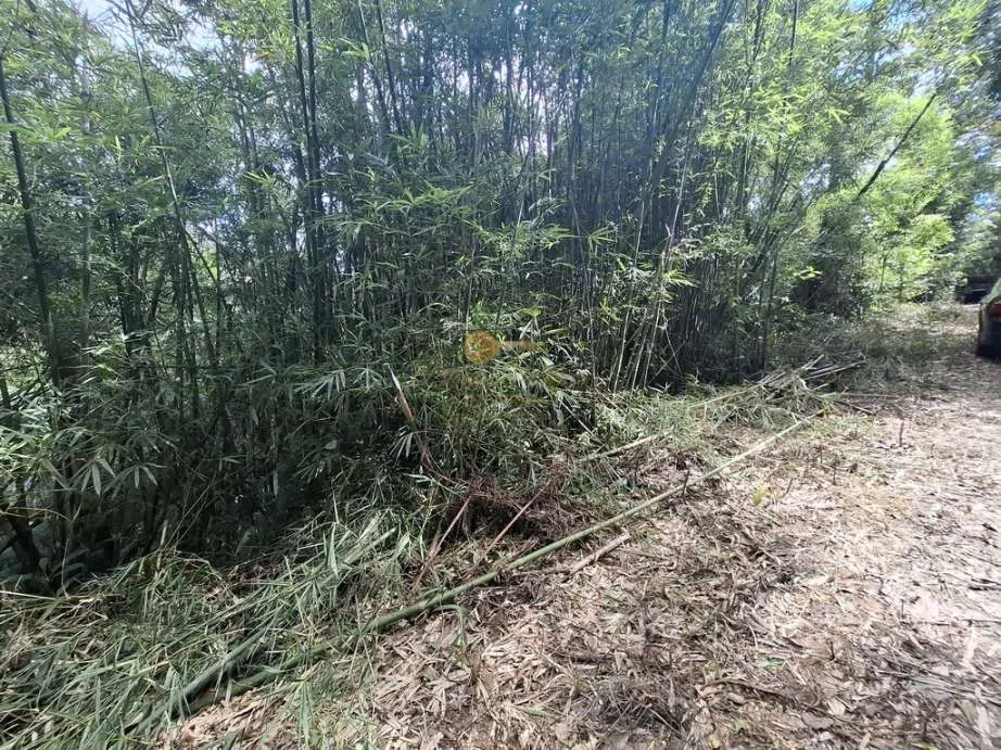 Imagem Terreno para Venda em Teresópolis / RJ no bairro Albuquerque