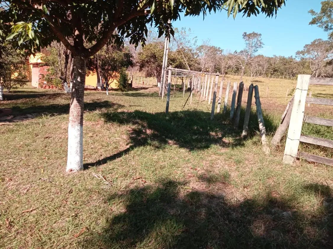 Imagem Vendo um excelente sítio na cidade de Piracema/Mg com 5 hectares de terra