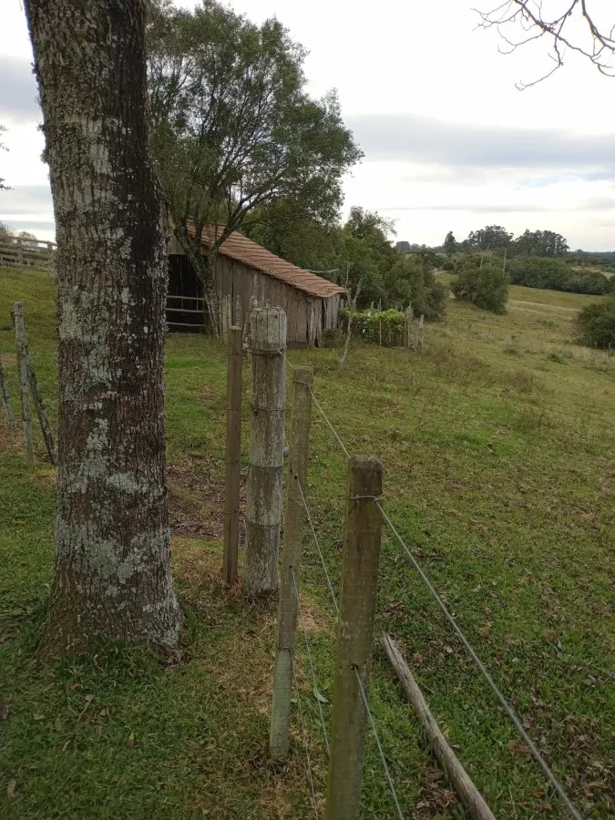 Imagem Sítio para Venda em Canguçu, zona rural, 3 dormitórios, 1 banheiro, 3 vagas