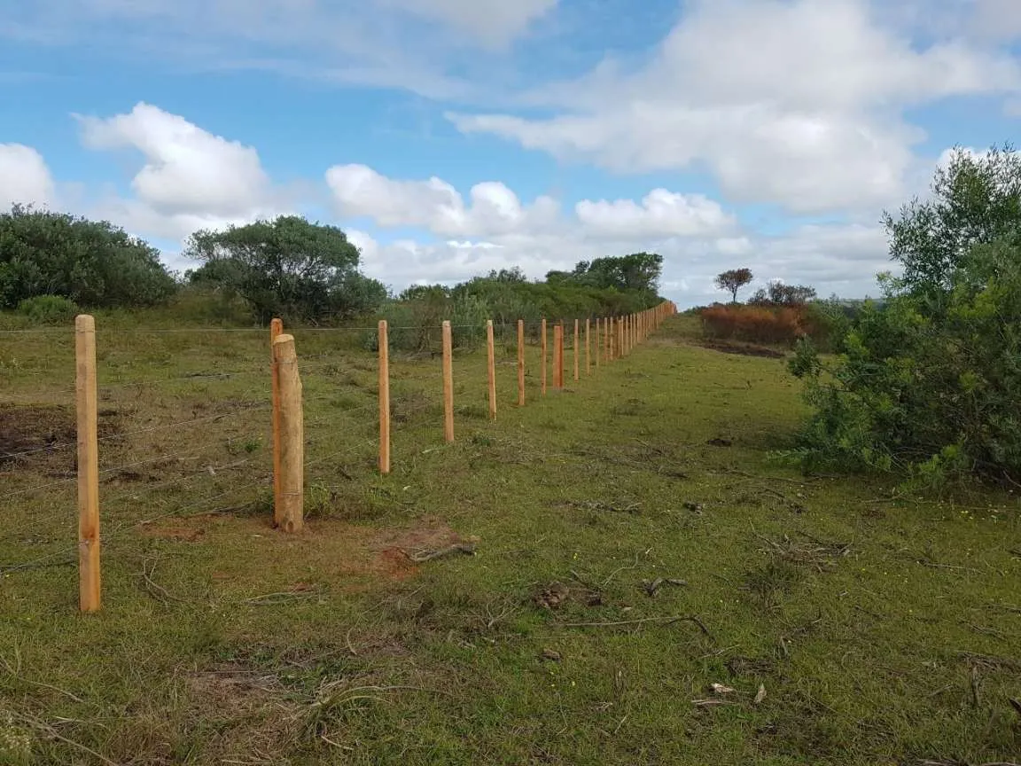 Imagem Sítio para Venda em Pedro Osório, Brasileiras