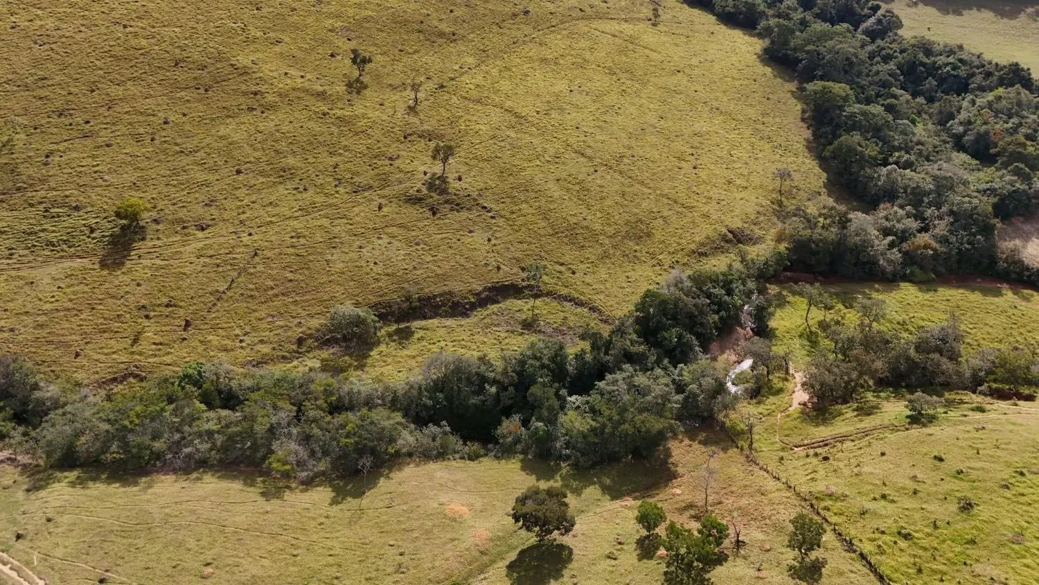 Imagem Fazenda à Venda em Belo Vale/MG ? 42 Hectares | R$ 2.800.000,00