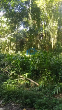 Imagem Oportunidade - Terreno à venda no Jd Santa Paula em Cotia