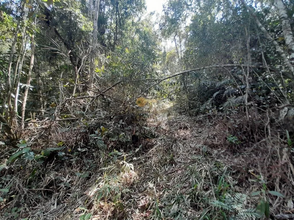 Imagem Terreno para Venda em Teresópolis / RJ no bairro Vargem Grande