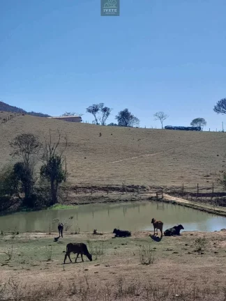 Foto do imóvel Terreno incrível para criação de animais e plantio em José Maria de Azevedo e Souza (esc)
