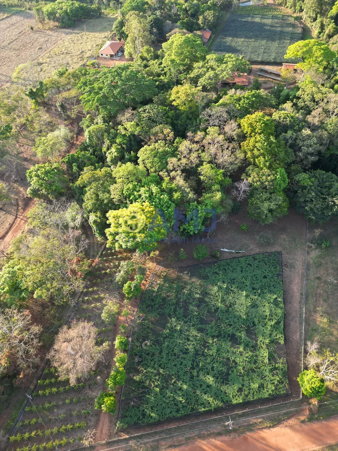 Imagem DUAS CHÁCARAS VIZINHAS À VENDA | HIDROLÂNDIA/GO