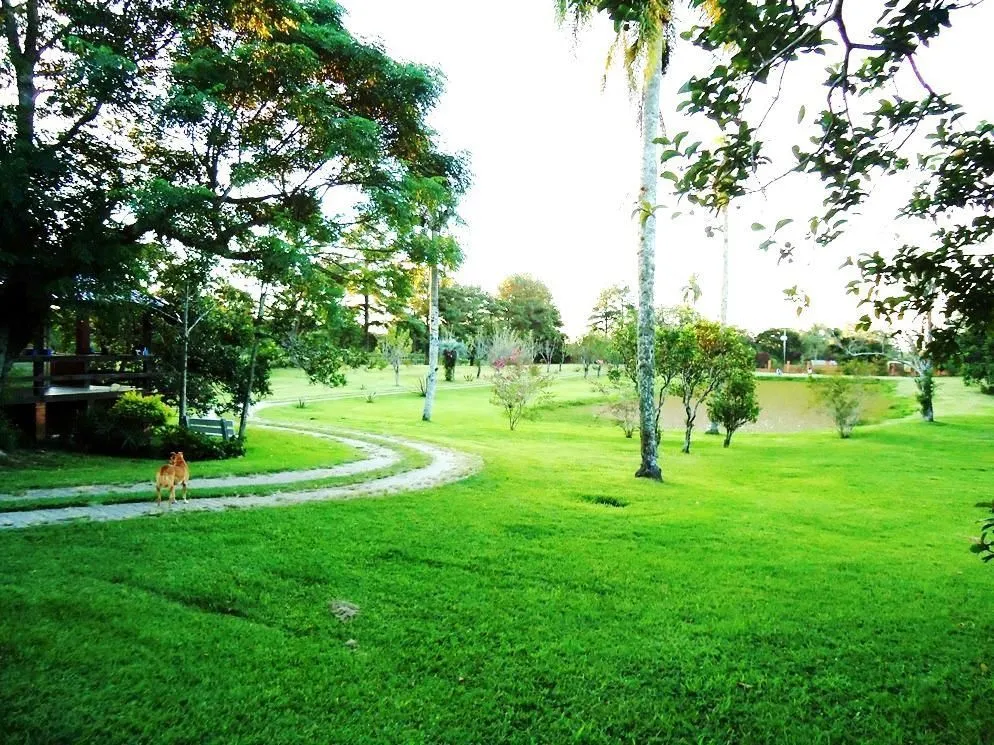 Imagem Espetacular Sitio com Tres Casas sendo uma de 500m2 de tijolos a vista e duas de madeira todas com 3 dormitorios garagem para 8 veiculos