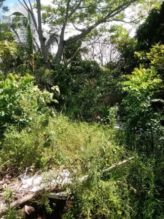 Imagem Terreno para Venda em Vera Cruz, Gamboa