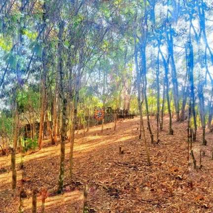 Imagem Terreno à venda, 2670 m² por R$ 550.000,00 - Jardim Jaraguá - Atibaia/SP