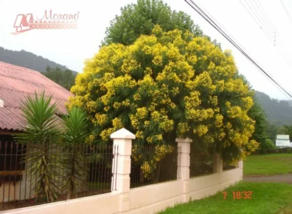 Imagem Sítio Rural à venda em Nova Petrópolis
