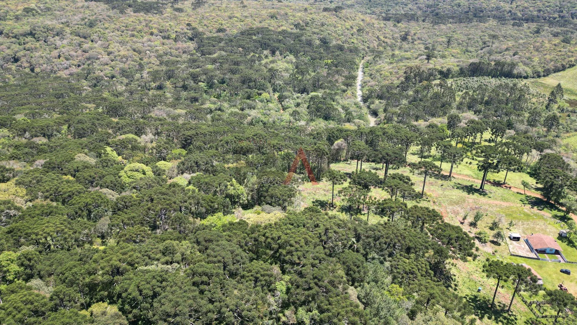 Imagem CHACARA A VENDA NO DISTRITO DO GUAIRACA, GUARAPUAVA - PR