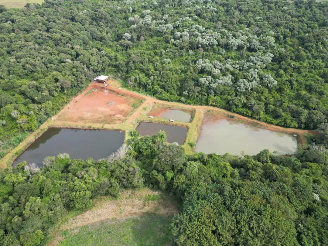 Imagem Chácara à venda em Cascavel, Centro - Casa de caseiro, Rio e Lago para pesca