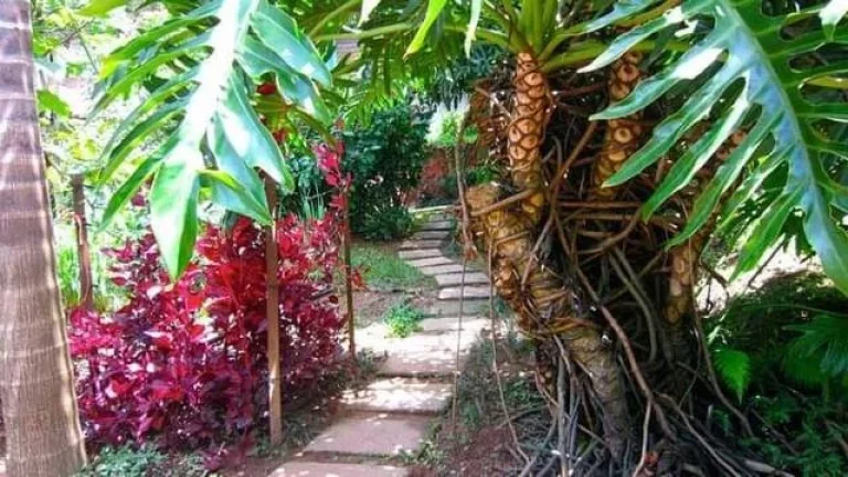 Imagem Linda Chácara em Atibaia Excelente Morar e Lazer!!