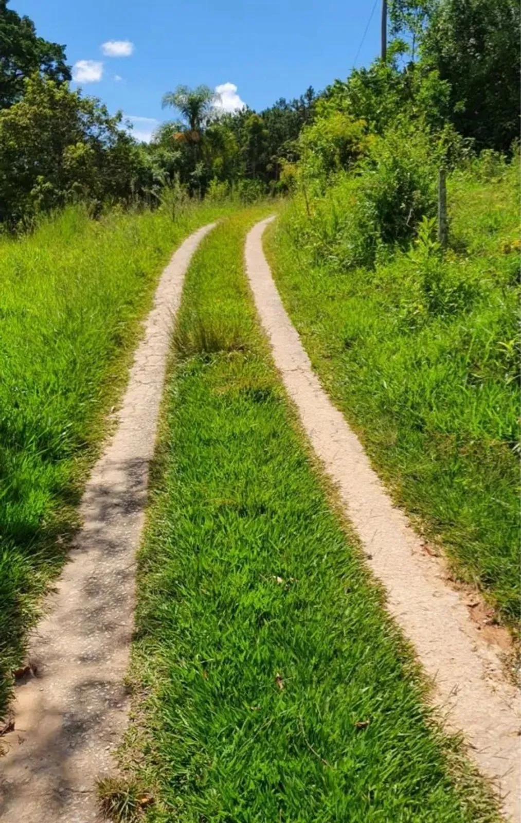 Imagem Sítio com 36.000 m² Natureza com conforto e linda vista? Itapeva/SP