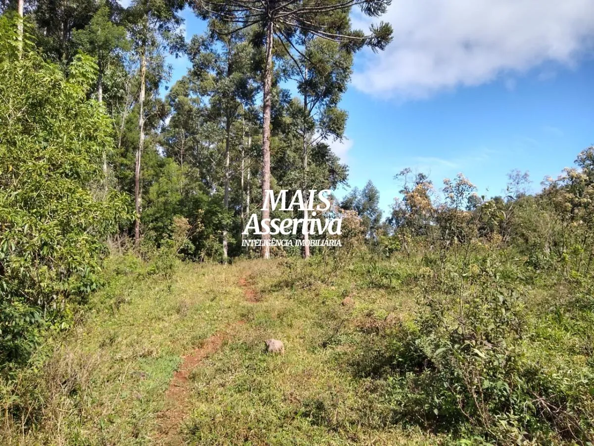 Imagem Chácara para Venda em Sapiranga / RS no bairro Bela-hú