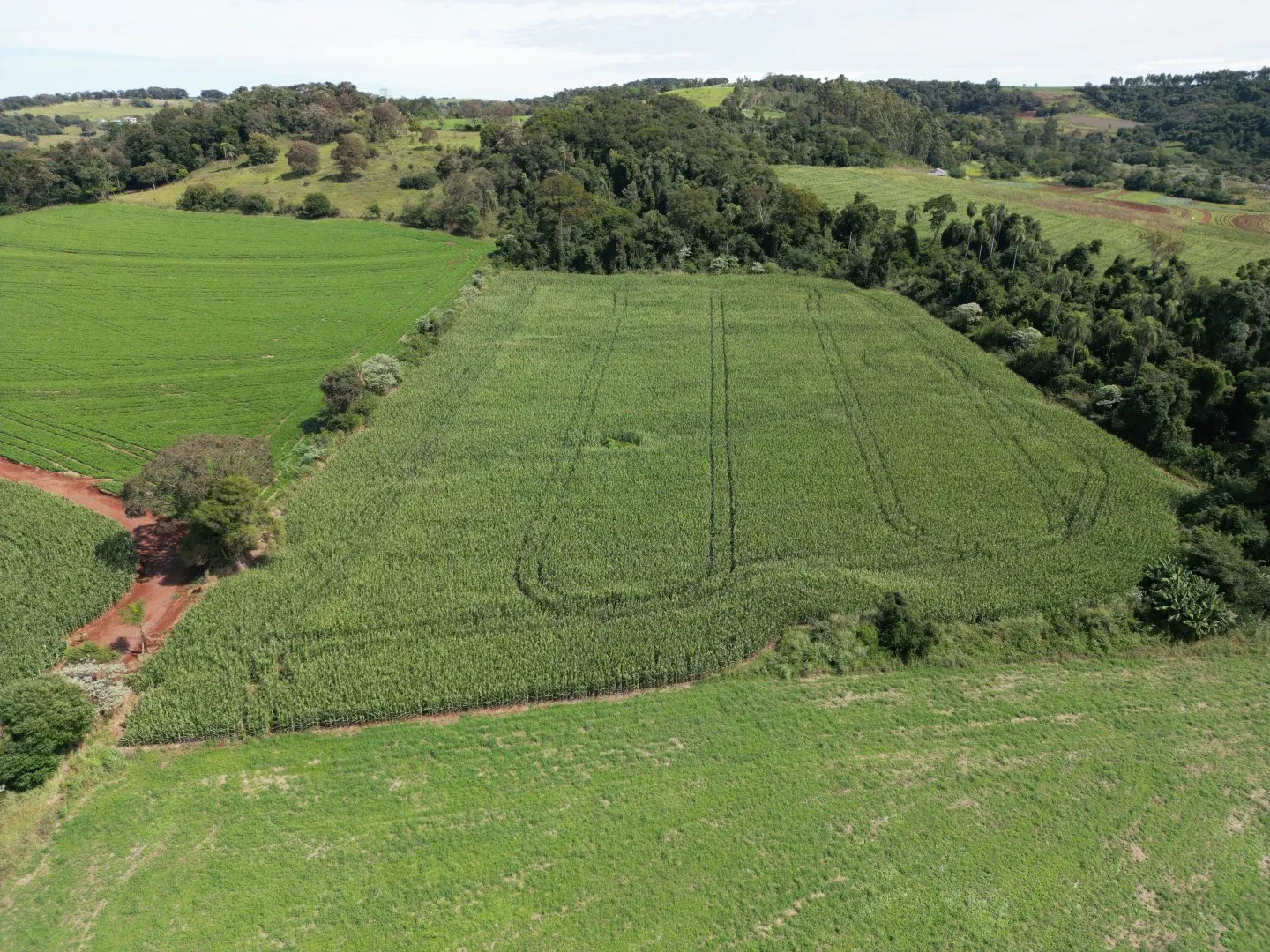 Imagem Chacara a venda em Rio do Salto Cascavel