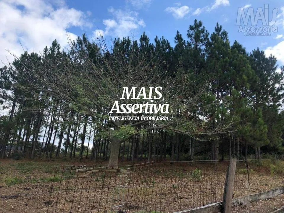 Imagem Chácara para Venda em Novo Hamburgo / RS no bairro Lomba Grande