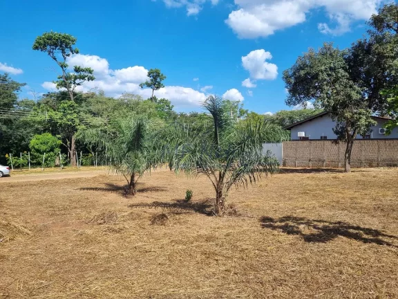 Imagem Terreno Padrão