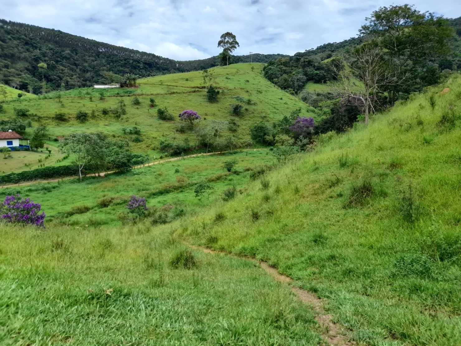 Imagem Terreno à venda 10000M², Mandú, Pindamonhangaba - SP