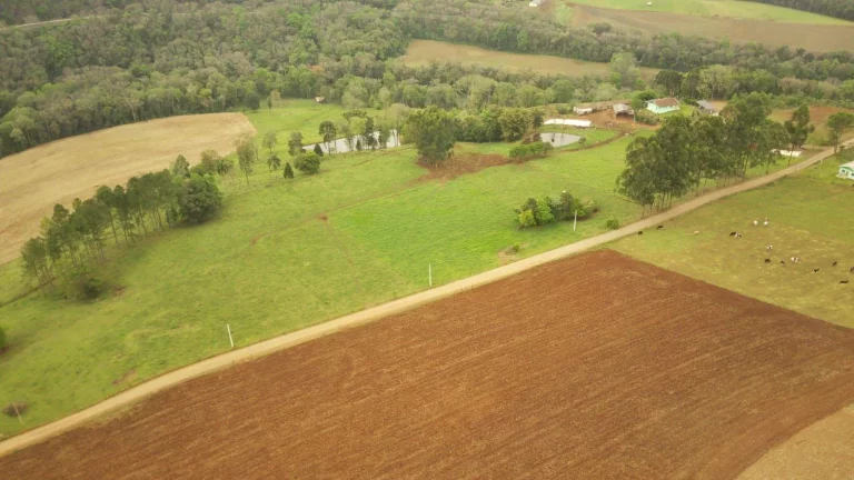 Imagem Área Agrícola para Venda em Concórdia, Rural