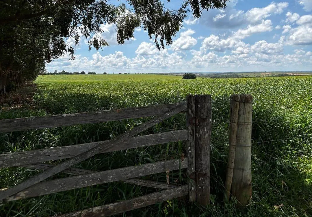 Imagem Vendo uma ótima fazenda em Dores do Indaiá/MG 205 hectares de terra