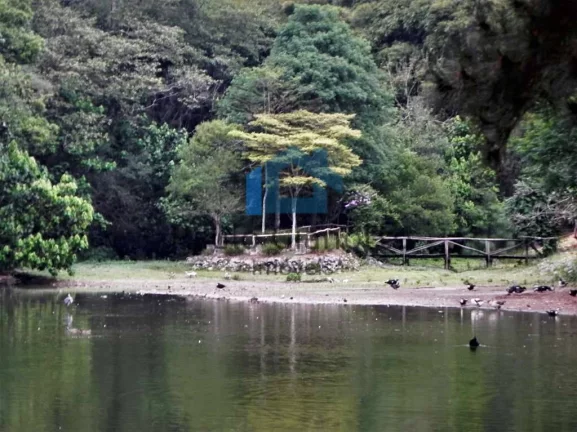 Imagem Lote de Alto Padrão no Jardim Mediterrâneo na Granja Viana