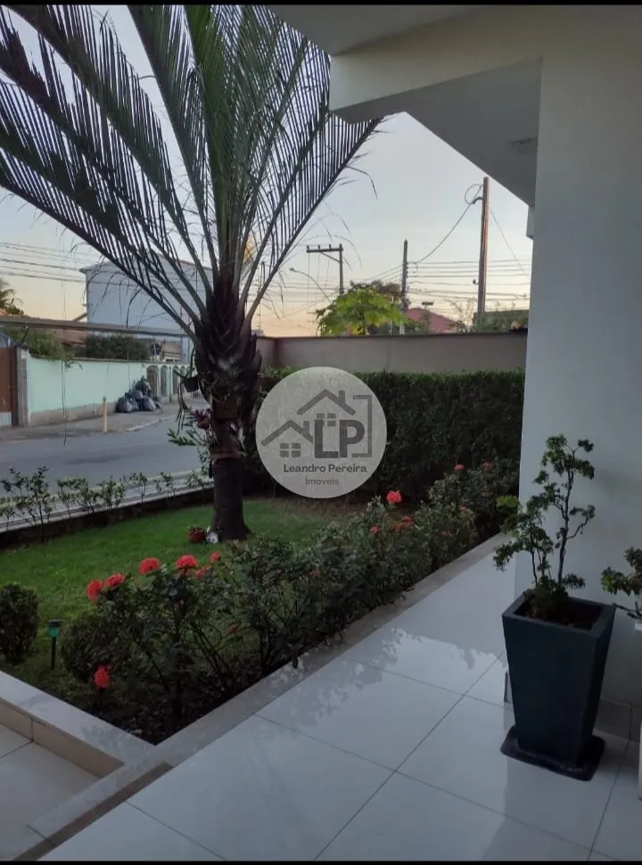 Imagem Limoeiro - Volta Redonda RJ