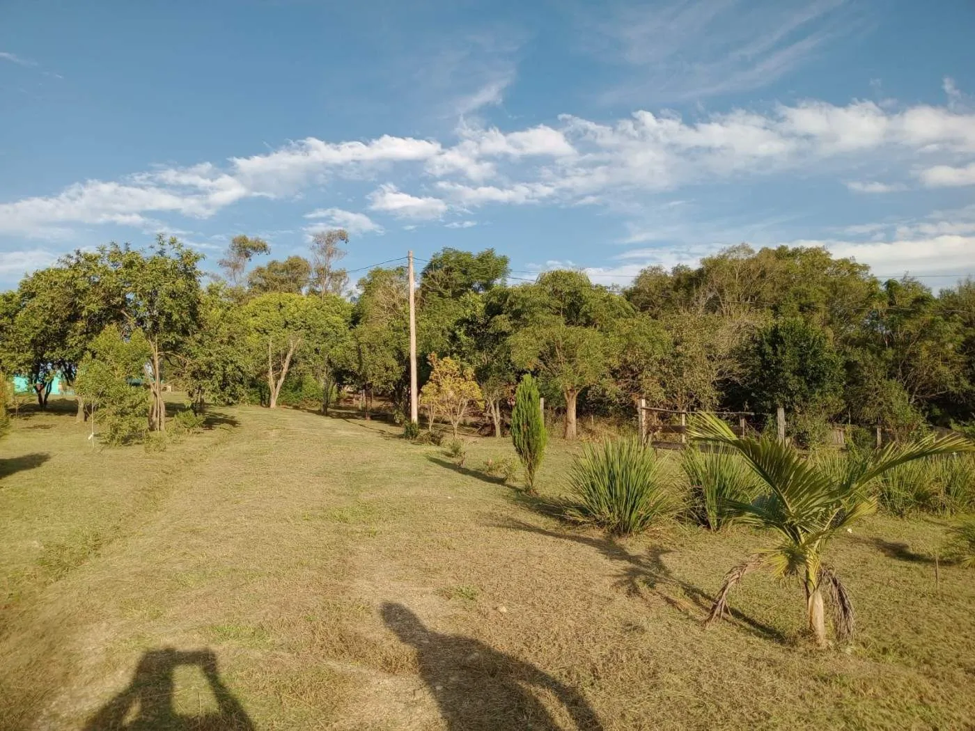 Imagem Sítio para Venda em Pelotas, Monte Bonito, 3 dormitórios, 1 banheiro, 1 vaga