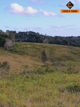 Imagem FAZENDA EM MATA DE SÃO JOÃO