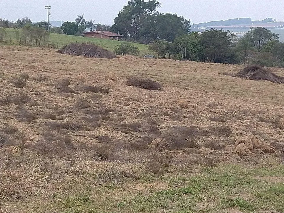 Imagem TERRENO- ARTUR NOGUEIRA/HOLAMBRA