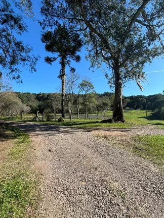 Imagem Chácara para venda no bairro Fazenda Souza em Caxias do Sul
