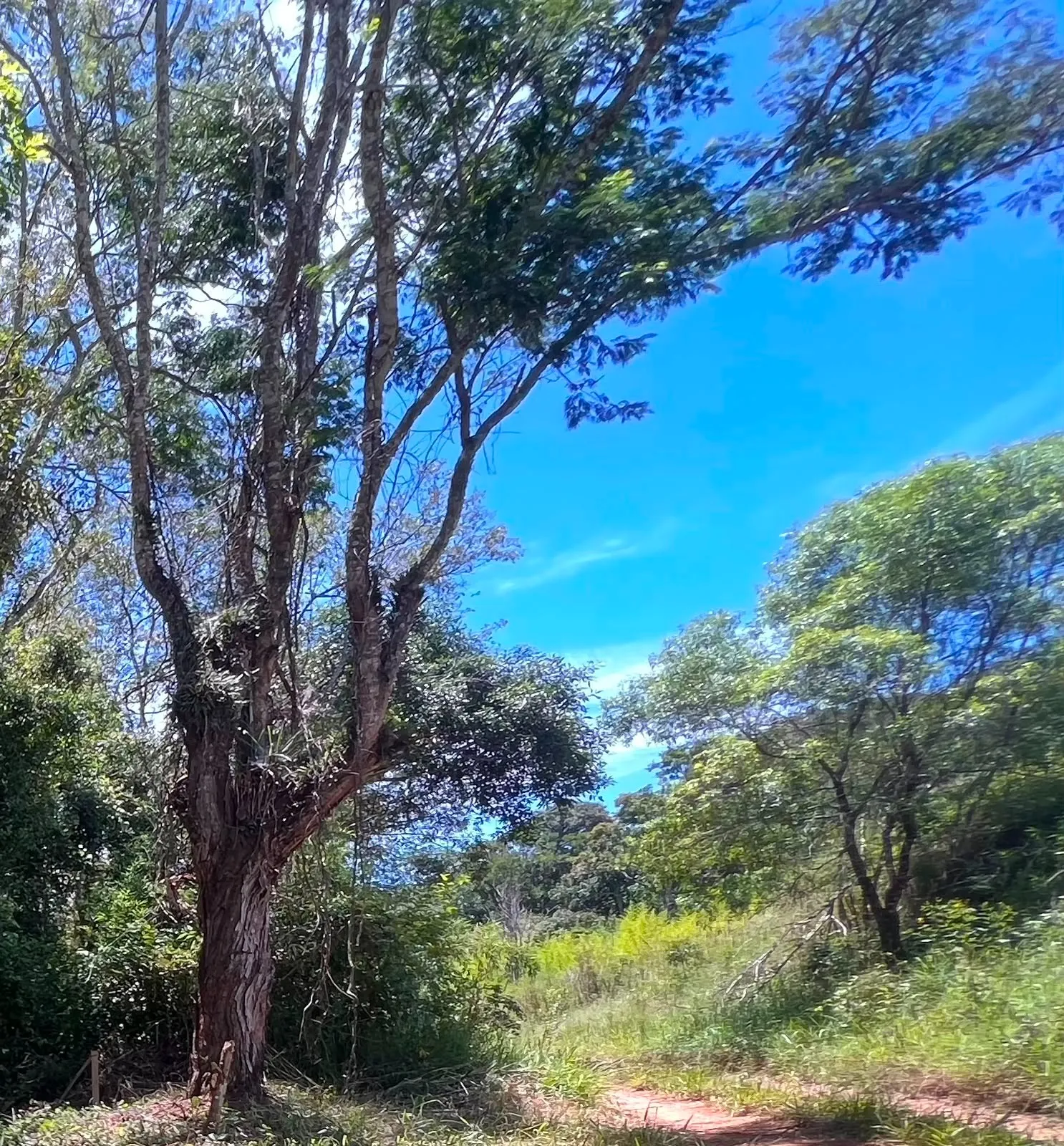 Imagem Terreno à 600mts da Repressa de Itupararanga no Loteamento Saveiros de Ibiúna