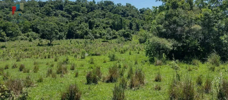 Imagem Sítio à venda no bairro Centro - Guareí/SP